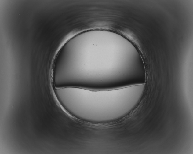 X0000085081383200703051100