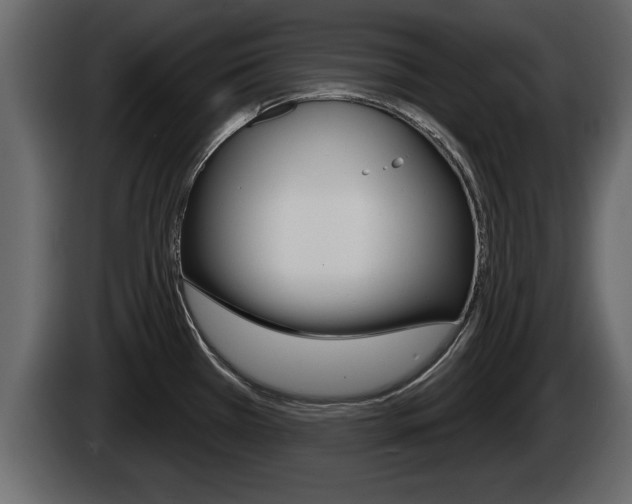 X0000085081385200703051100