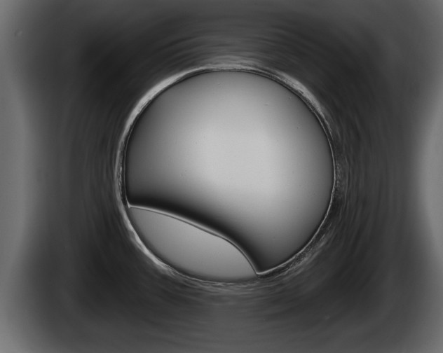X0000085081387200703051100
