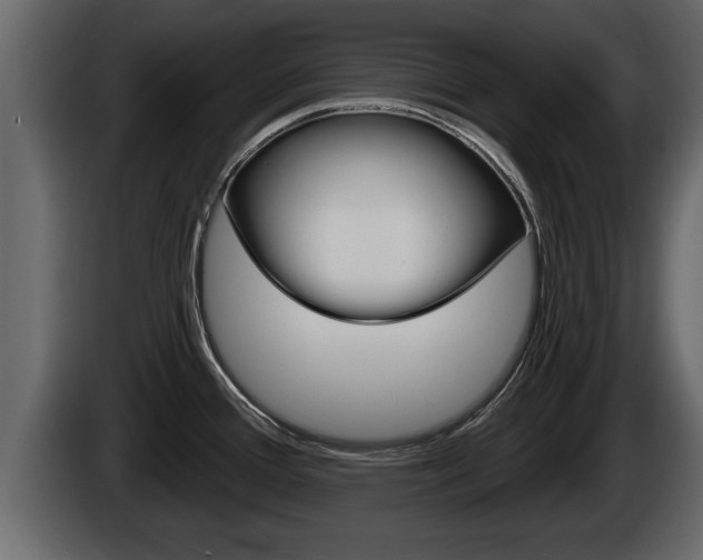 X0000085081388200703051100