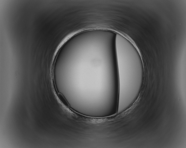 X0000085081389200703051100