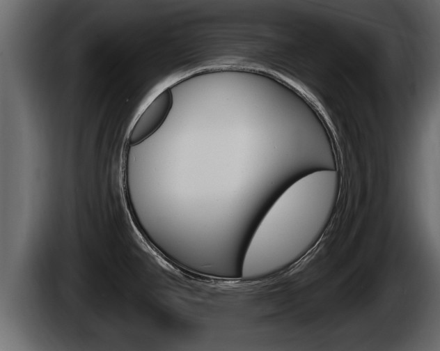 X0000085081390200703051100