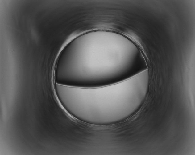 X0000085081391200703051100
