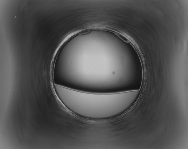 X0000085081392200703051100