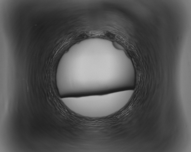 X0000085081393200703051059