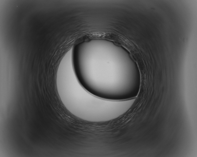 X0000085081394200703051059