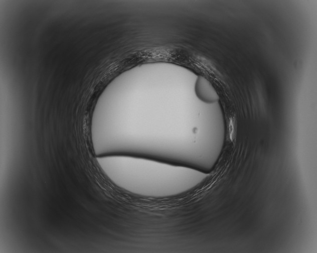 X0000085081395200703051059