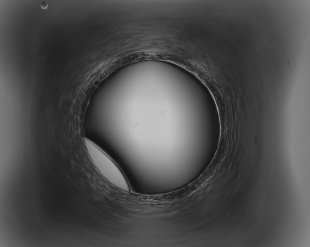 X0000085081398200703051059