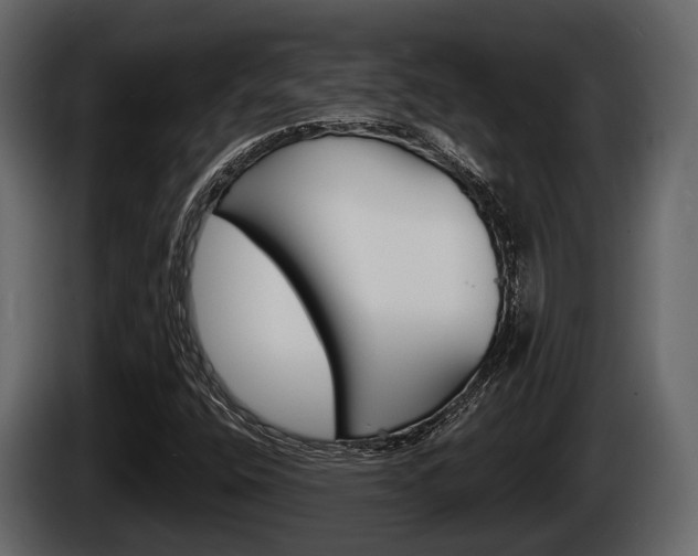 X0000085081400200703051059