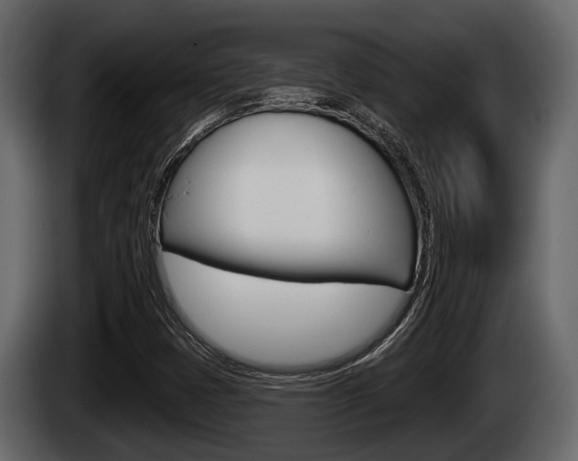 X0000085081401200703051059