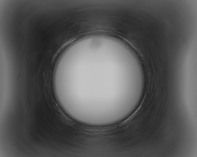 X0000085081402200703051059
