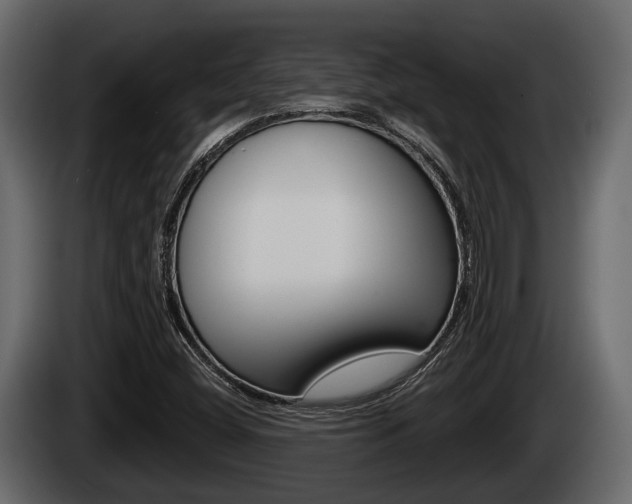 X0000085081404200703051059