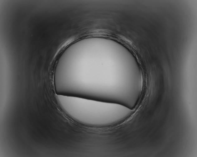 X0000085081405200703051059