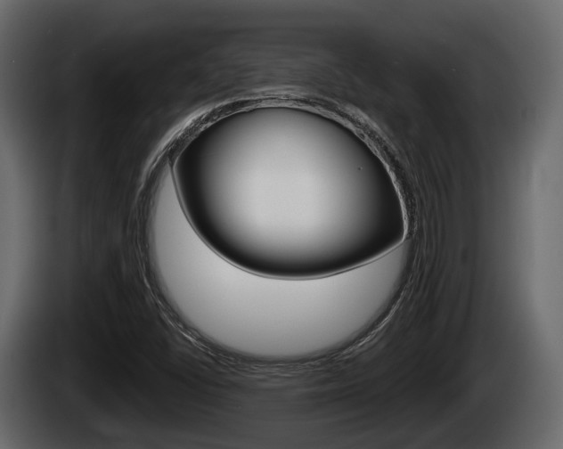 X0000085081406200703051059