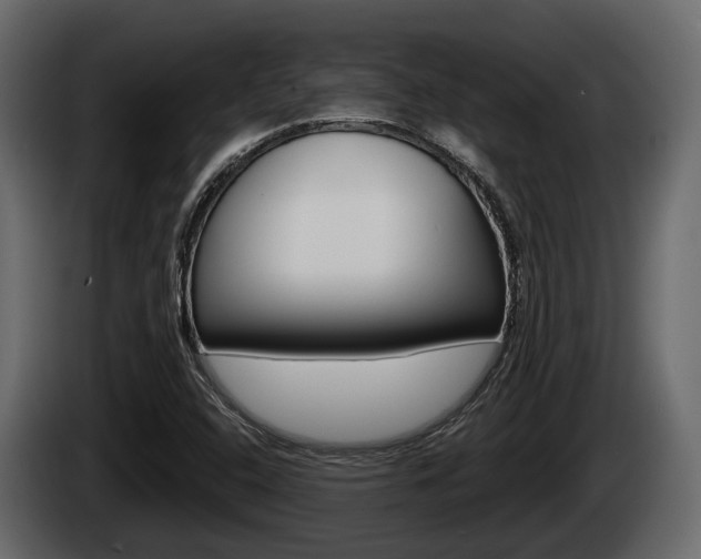 X0000085081408200703051059