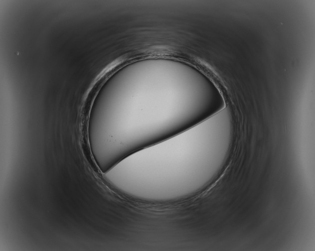 X0000085081410200703051059