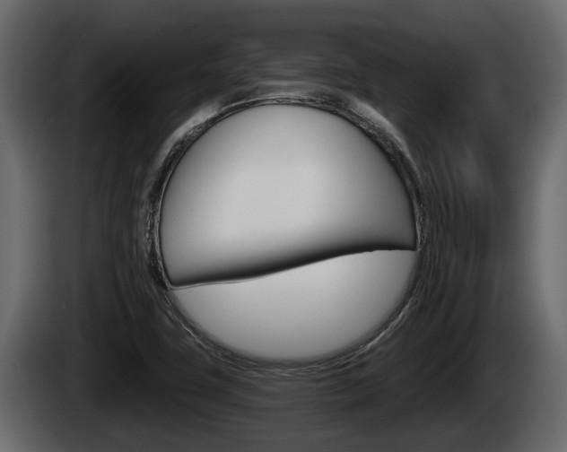 X0000085081411200703051059