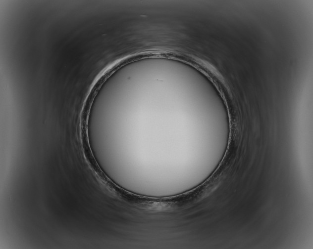X0000085081412200703051059