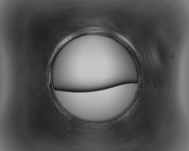 X0000085081413200703051059