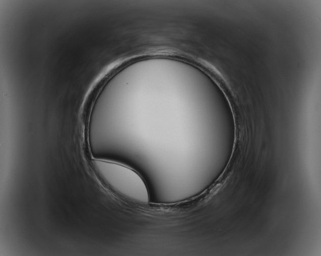 X0000085081414200703051059