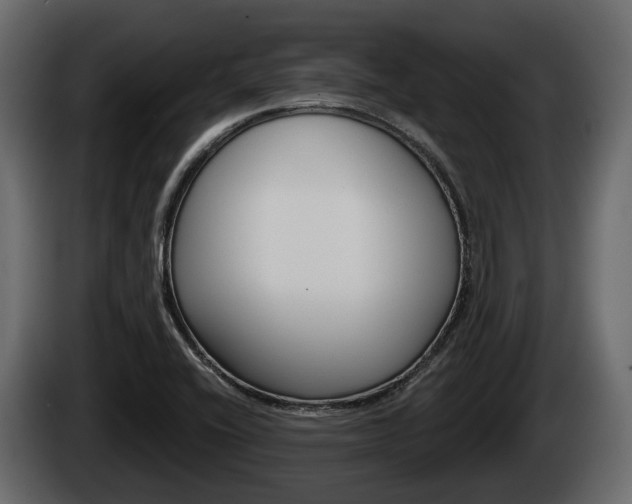 X0000085081416200703051059