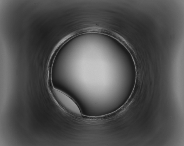 X0000085081418200703051059