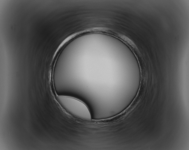 X0000085081420200703051059