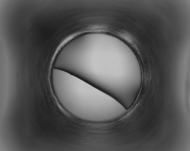 X0000085081421200703051100