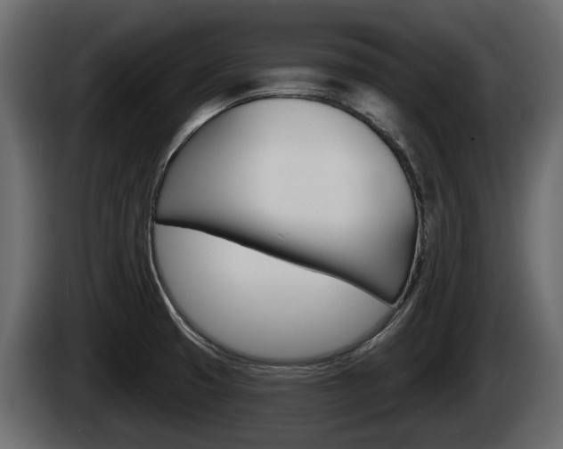 X0000085081425200703051100