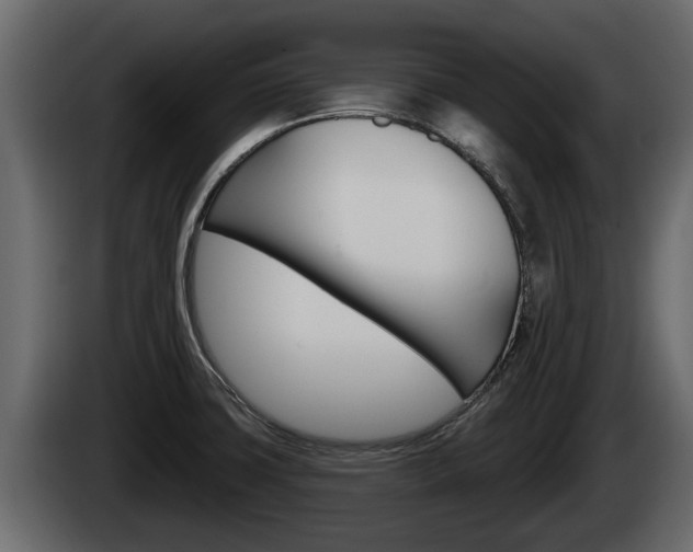X0000085081427200703051100