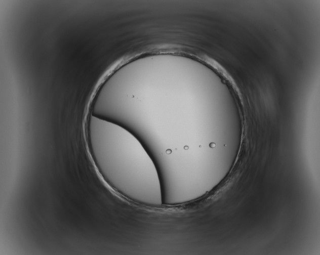 X0000085081429200703051100