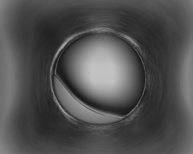 X0000085081430200703051100