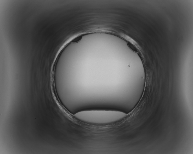 X0000085081431200703051100