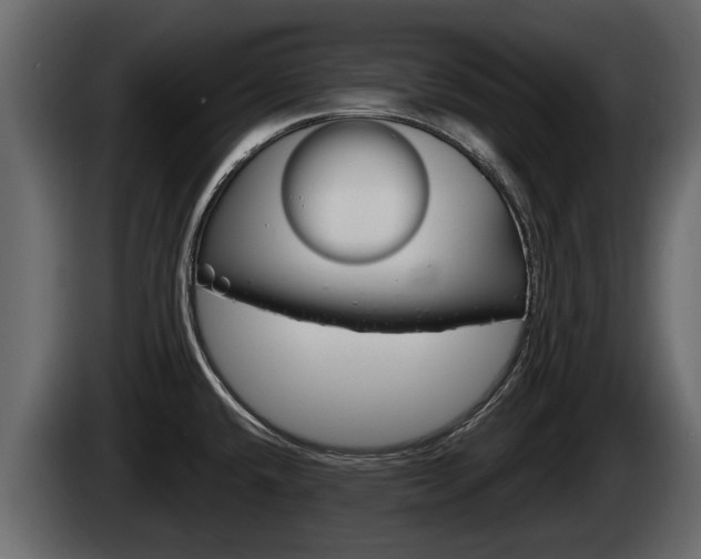 X0000085081432200703051100