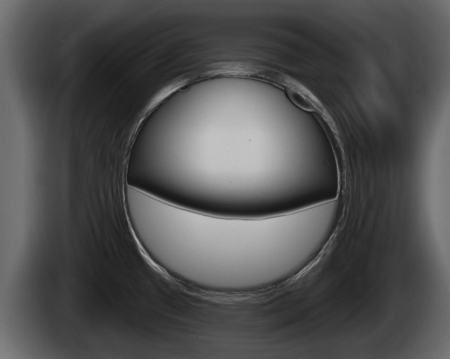 X0000085081433200703051100