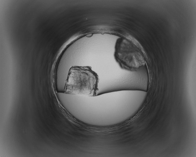 X0000085081435200703051100