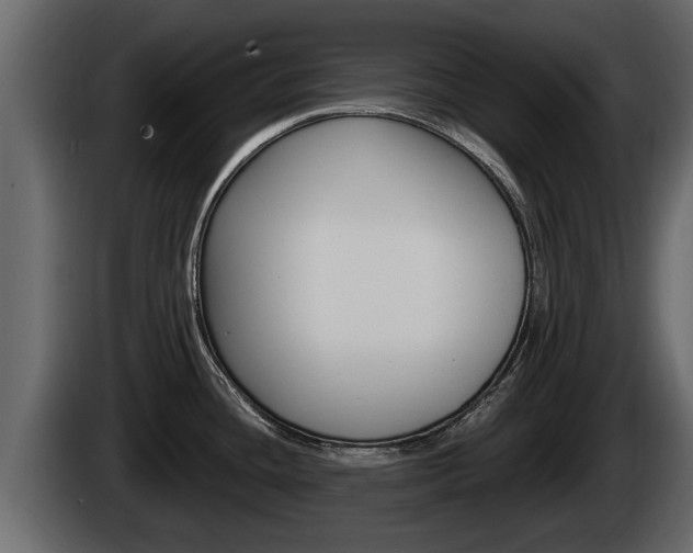 X0000085081436200703051100