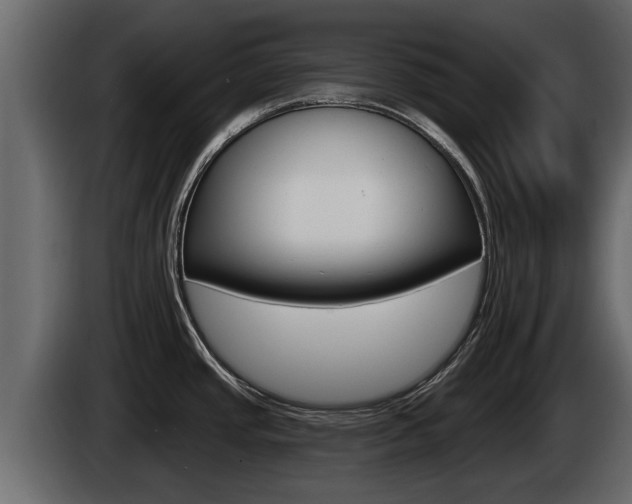 X0000085081437200703051100
