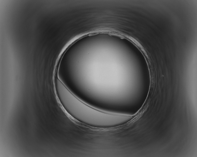 X0000085081438200703051100