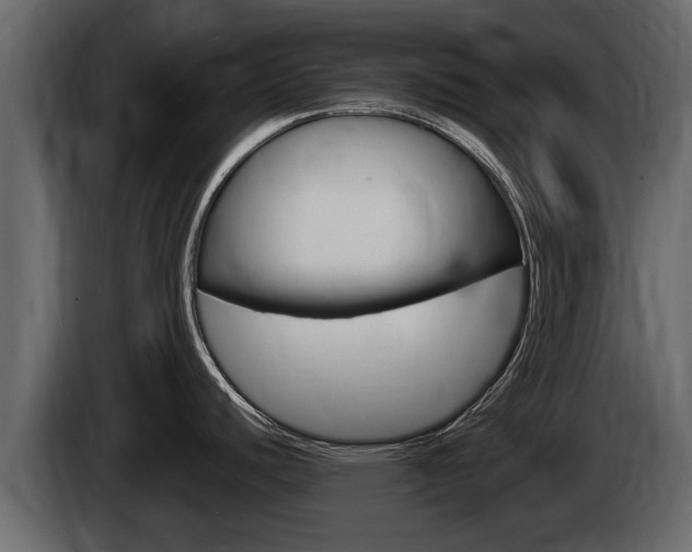 X0000085081440200703051100