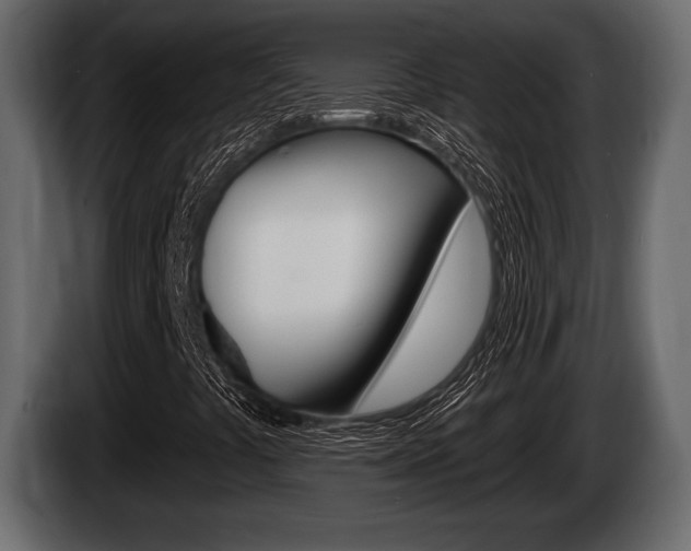 X0000085081441200703051059
