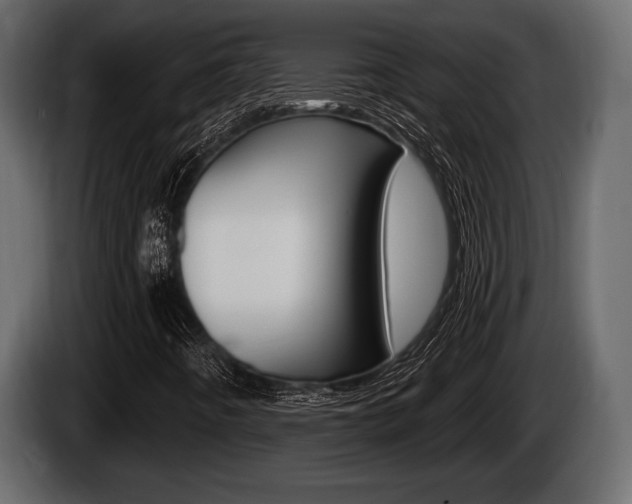 X0000085081442200703051059