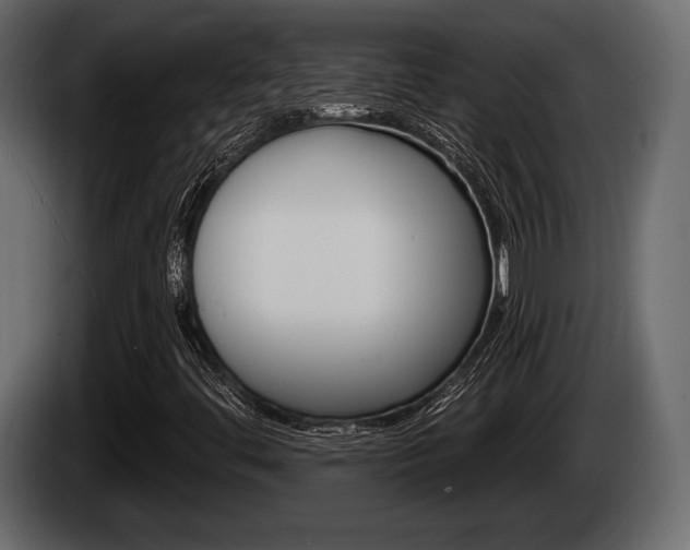 X0000085081444200703051059