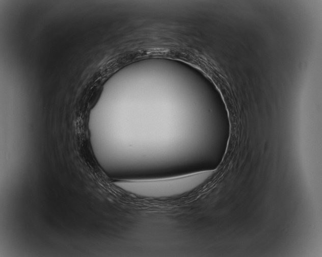 X0000085081445200703051059