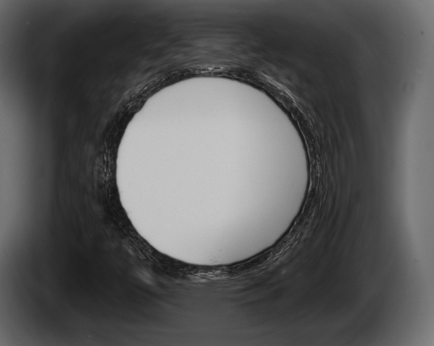 X0000085081447200703051059