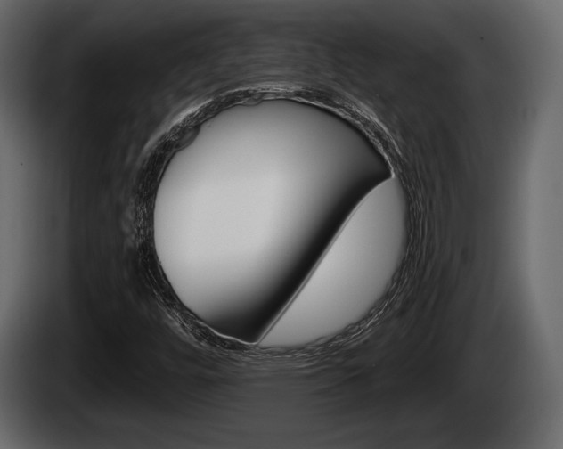 X0000085081448200703051059
