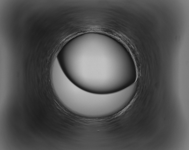 X0000085081449200703051059