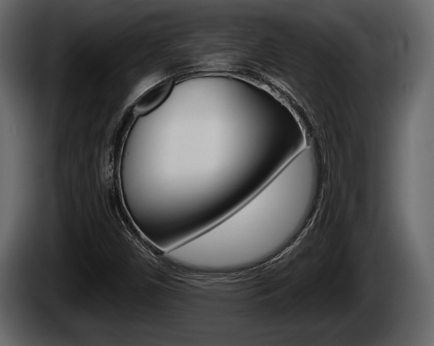 X0000085081450200703051059