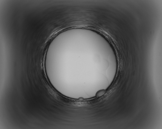 X0000085081451200703051059