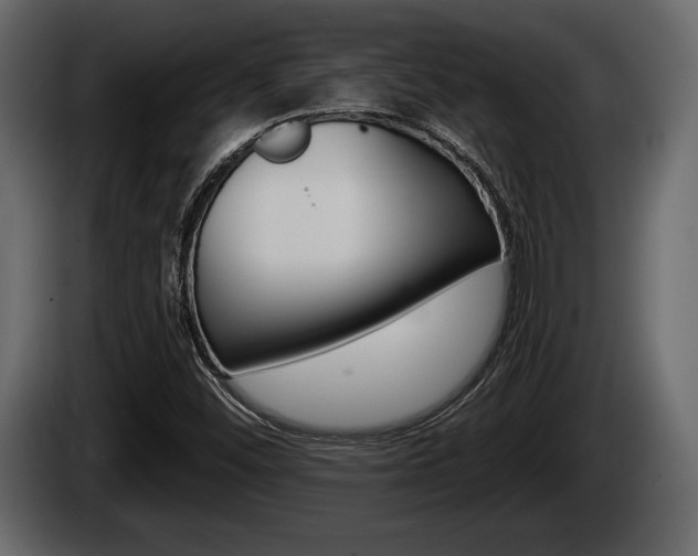 X0000085081452200703051059